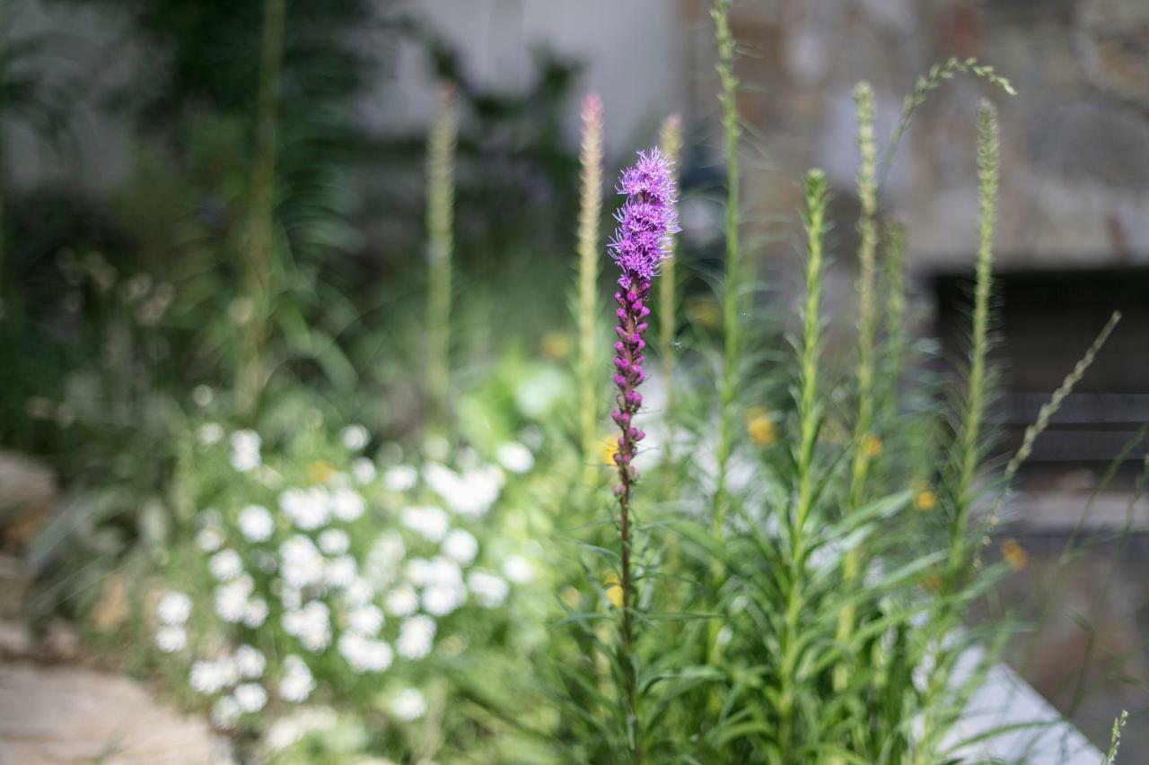 Fragrant Garden Apartment Lisabona Exterior foto